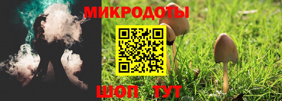 Галлюциногенные грибы мухоморы Костомукша